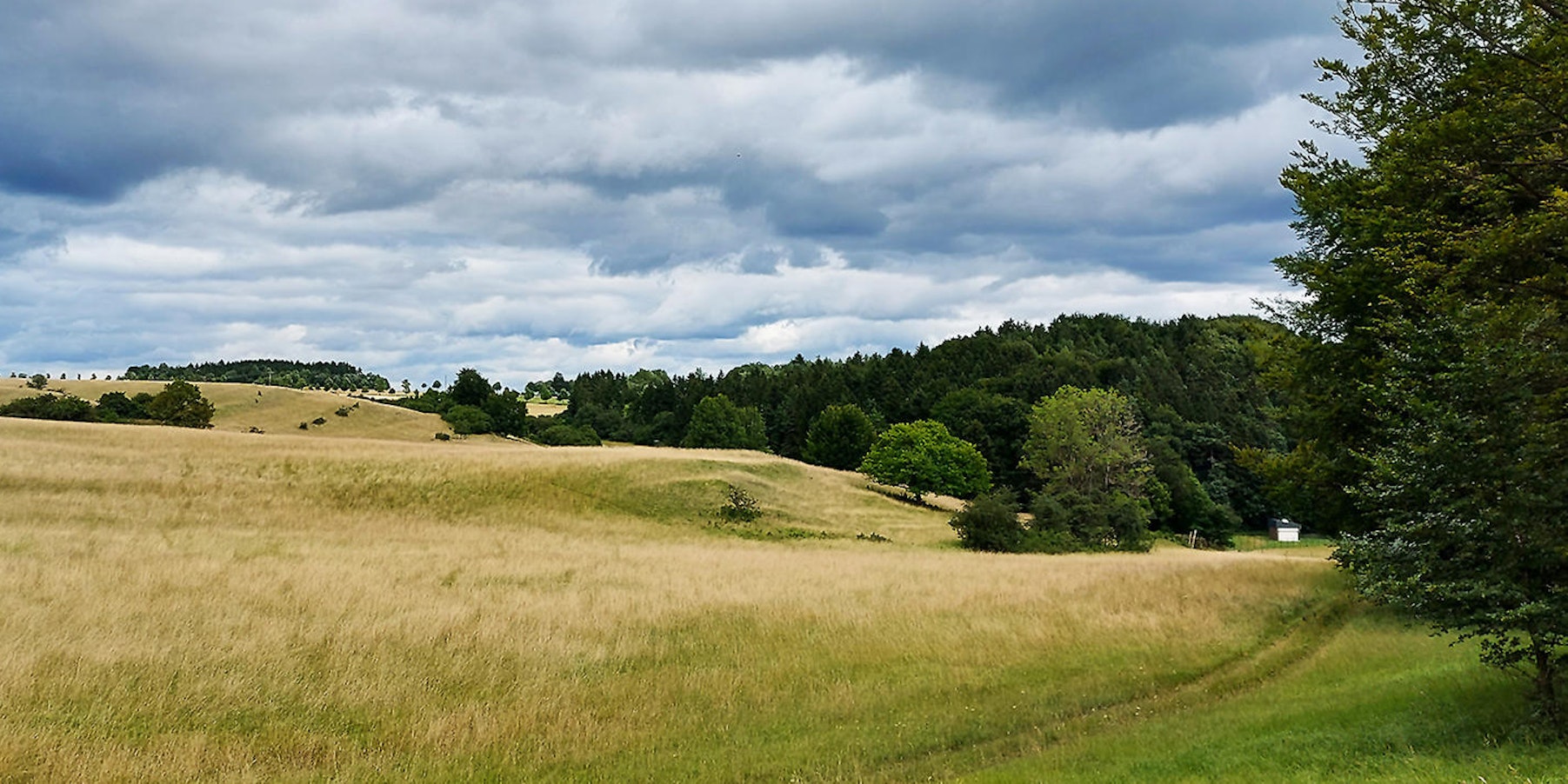Naturschutz Blankenheim_002