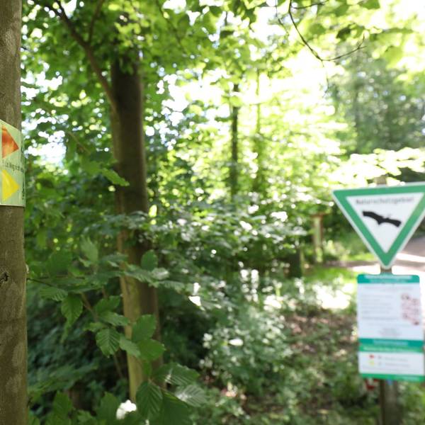 Neuer Inhalt (2)
