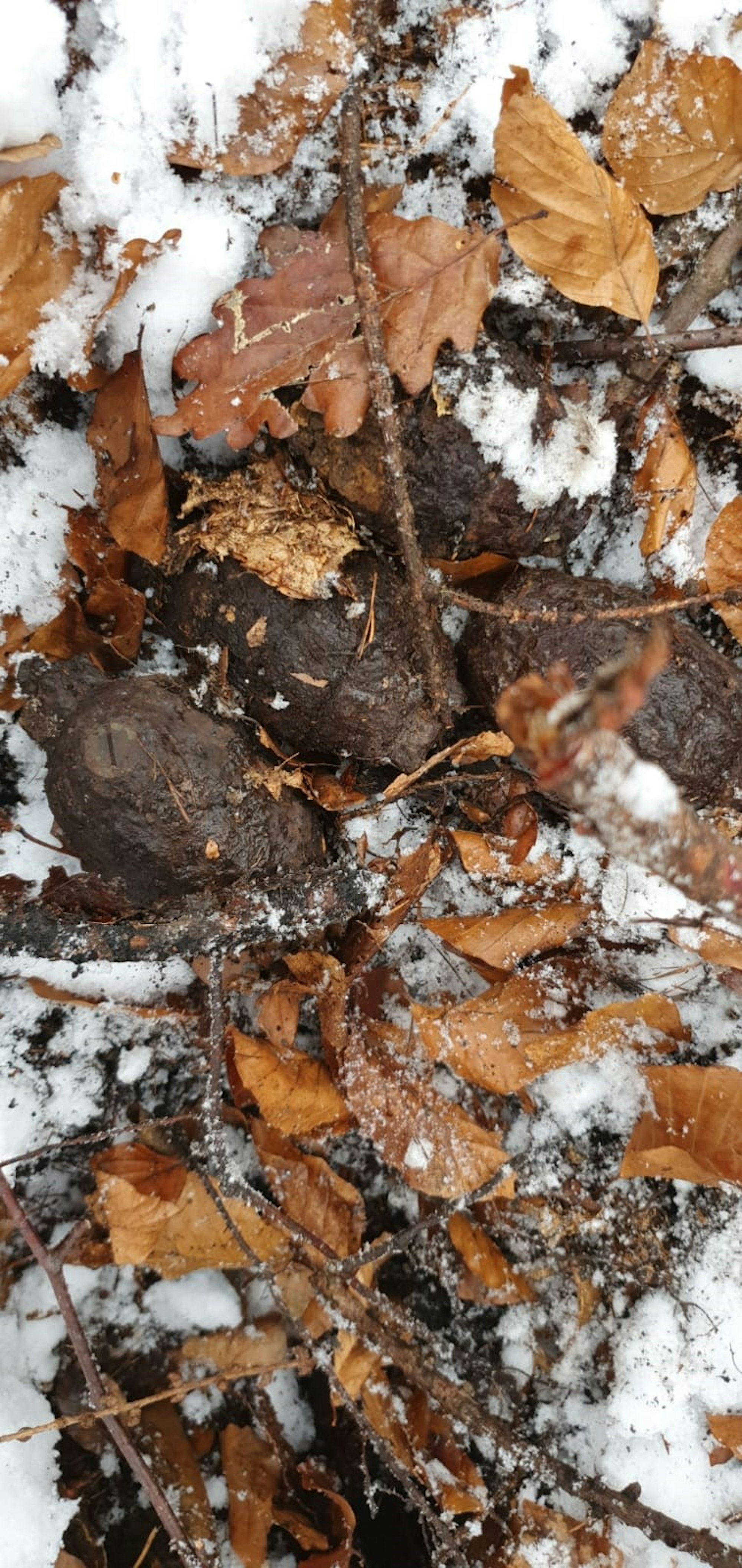 F106verrosteteHandgranaten