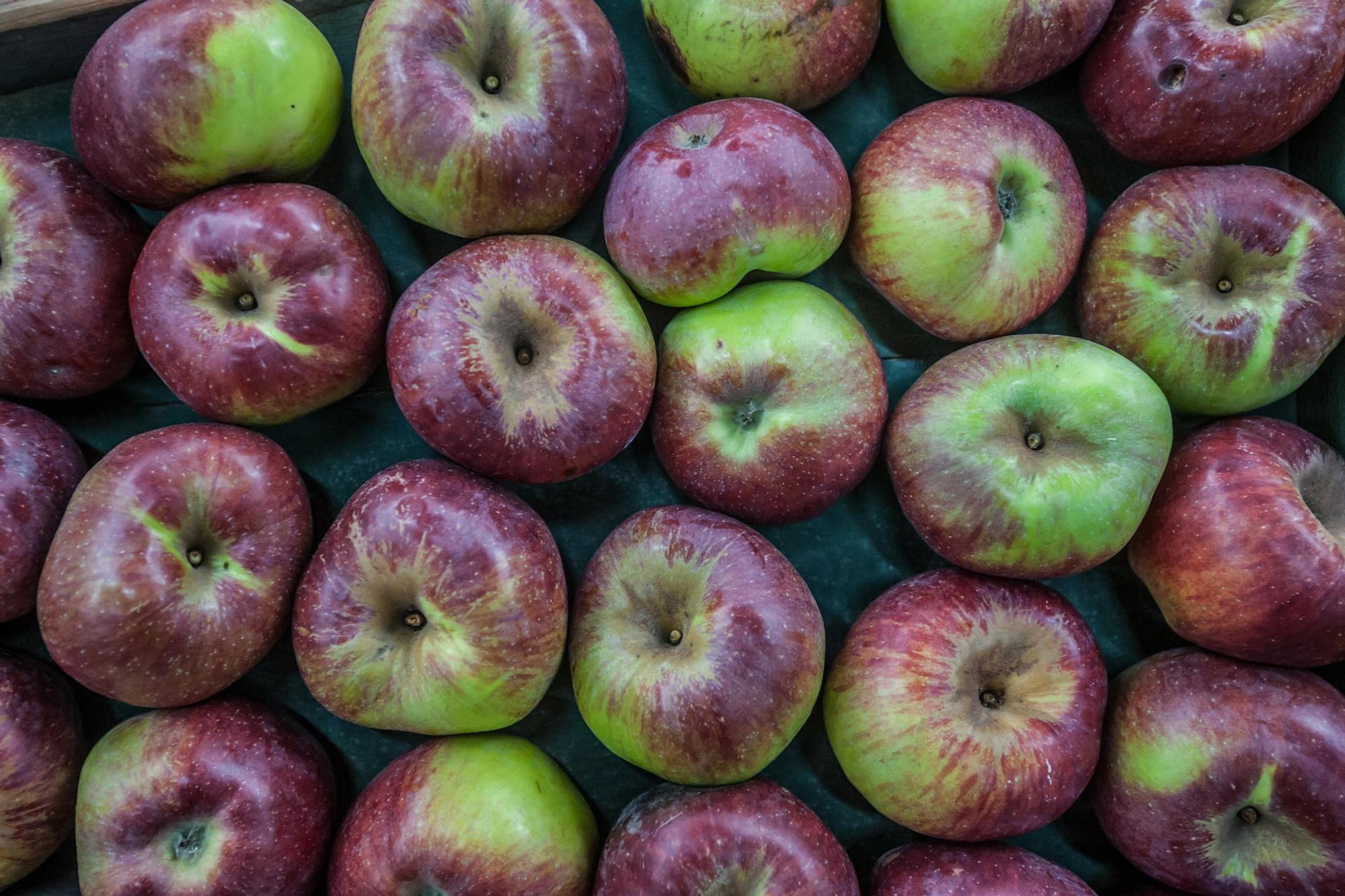 leichlingen-obstmarkt--ALF_7434