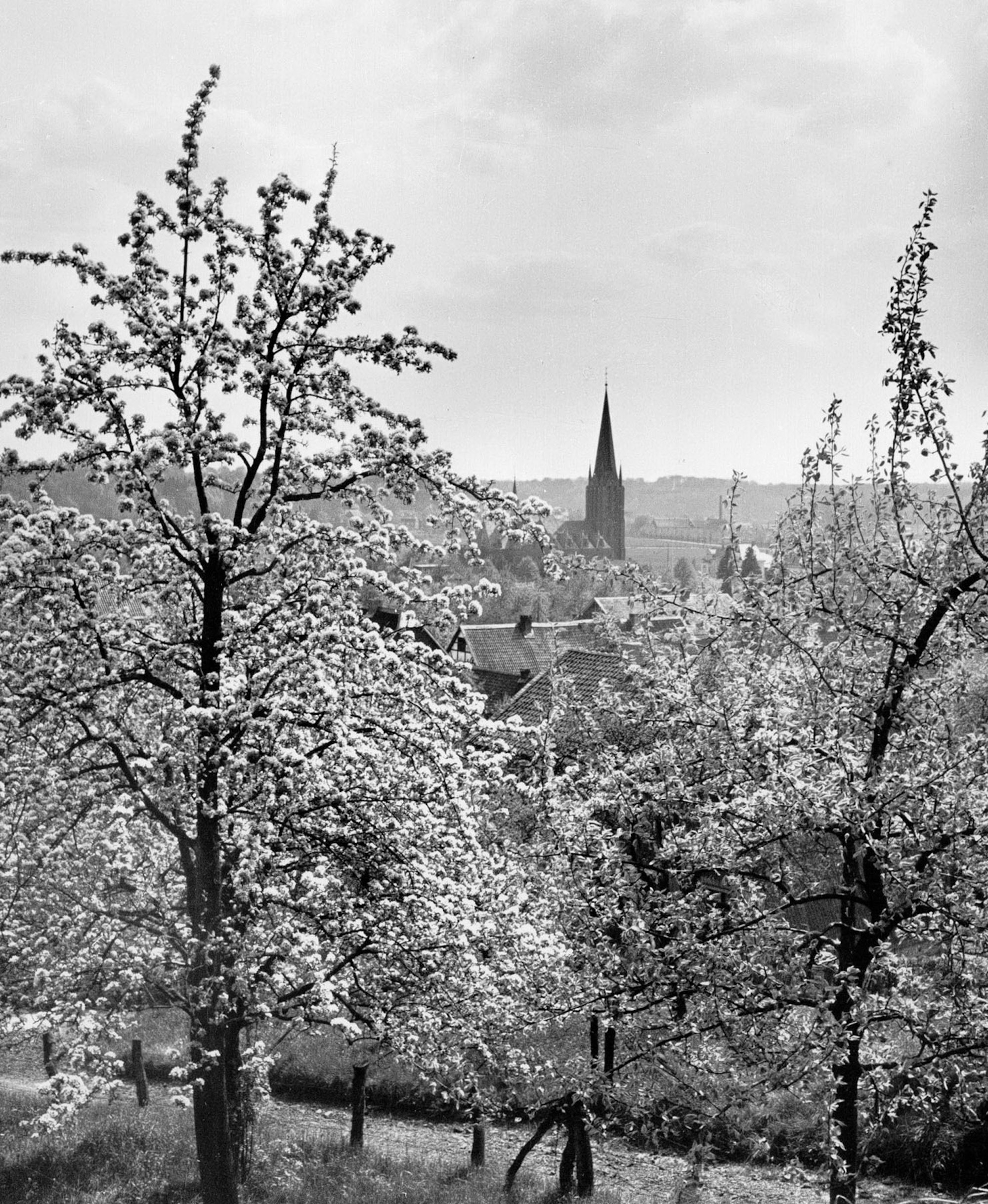 wu-Bluetenstadt_Image_IV_Kirche.Blueten