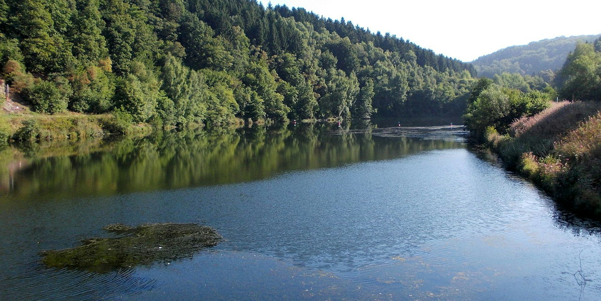 Wuppertalsperre_Wiki_AnjaZimmermannCC3.003