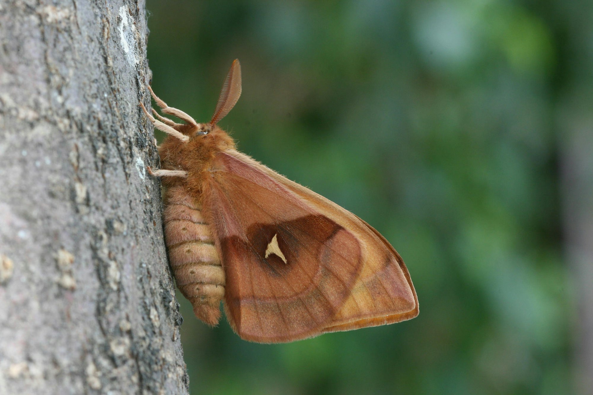 Jahresbilanz Nationalpark_001