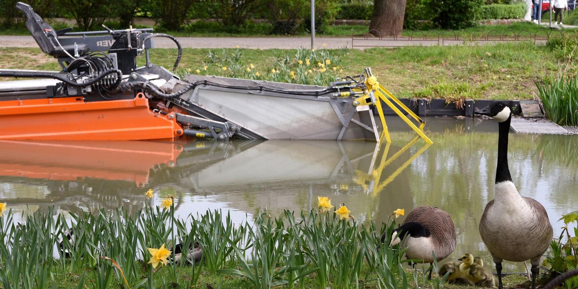 Mähboot