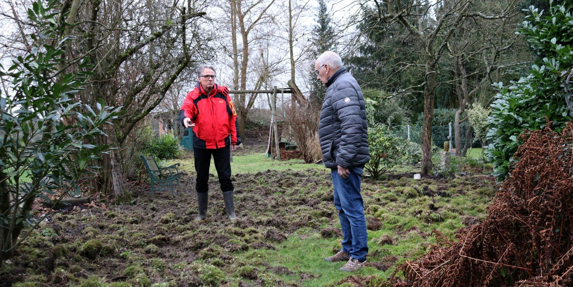 Wildschwein in Dellbrück