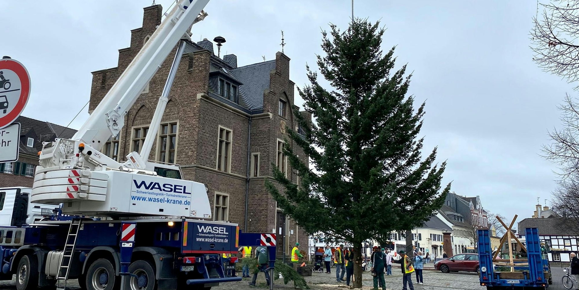 er-aufstellen-weihnachtsbaum1