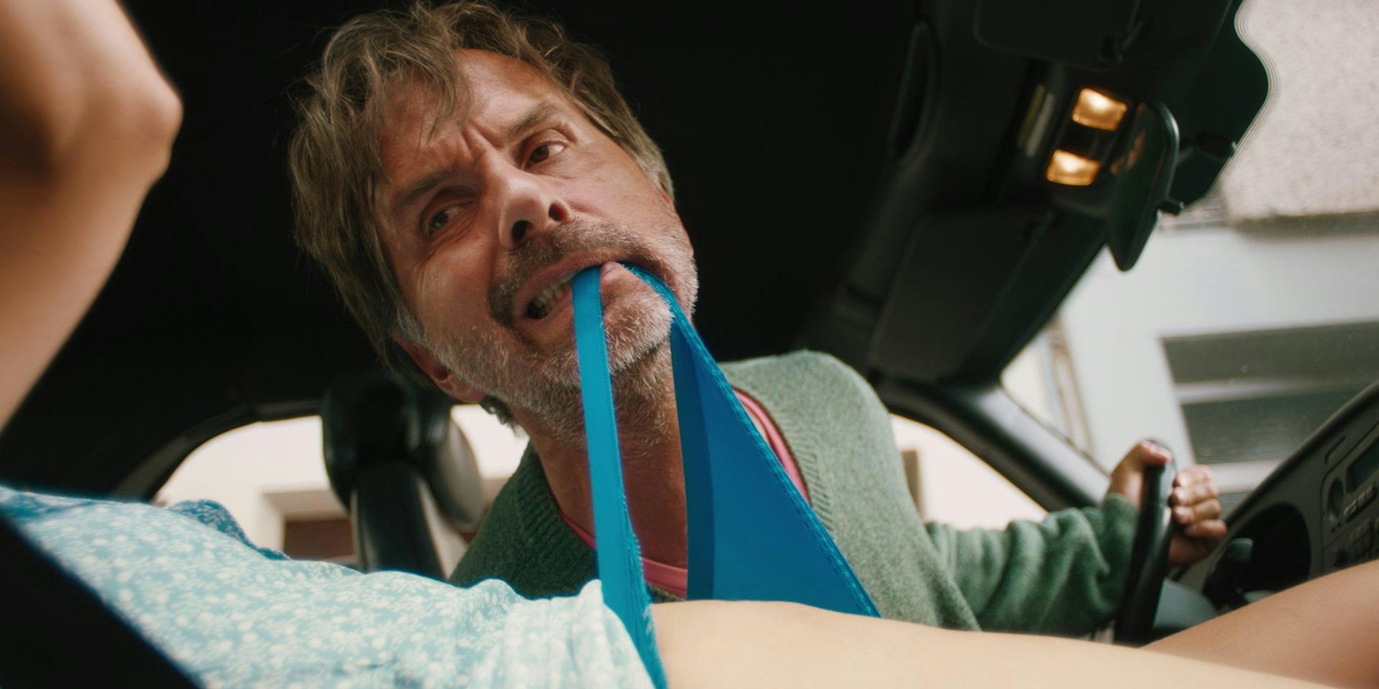 Es ist nur eine Phase Hase