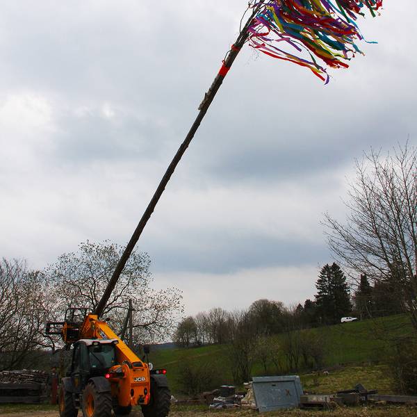 Maibaum Hollerath 2021