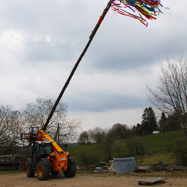 Maibaum Hollerath 2021