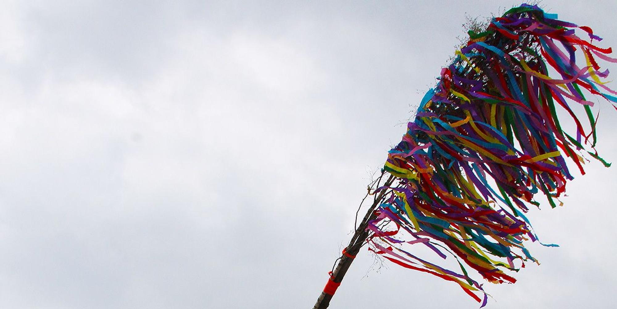 Maibaum Hollerath 2021
