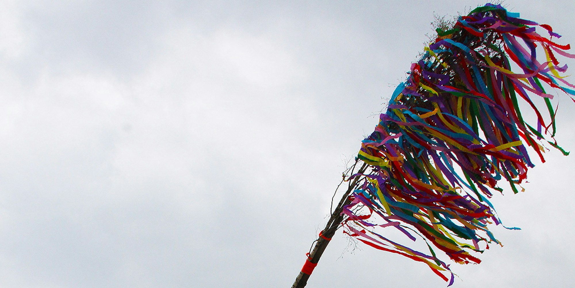 Maibaum Hollerath 2021