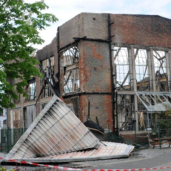Chimpanzodrome gesichert