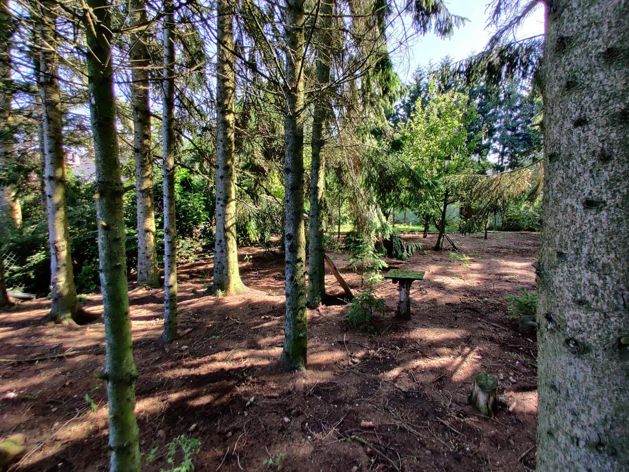 Camping_Zeltzuhause_Keldenich