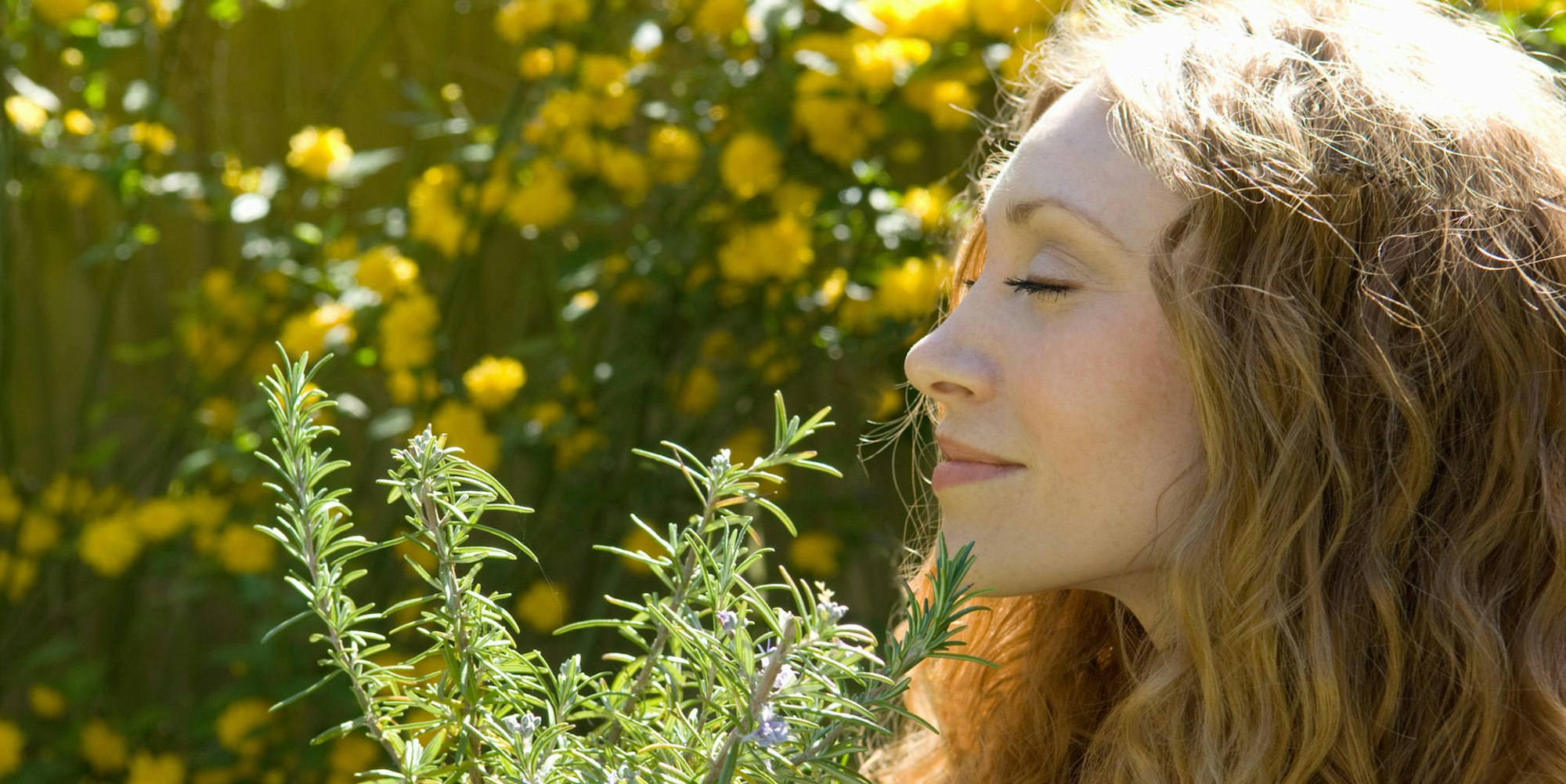 Kräuter_GettyImages_HEnry Arden-119014329