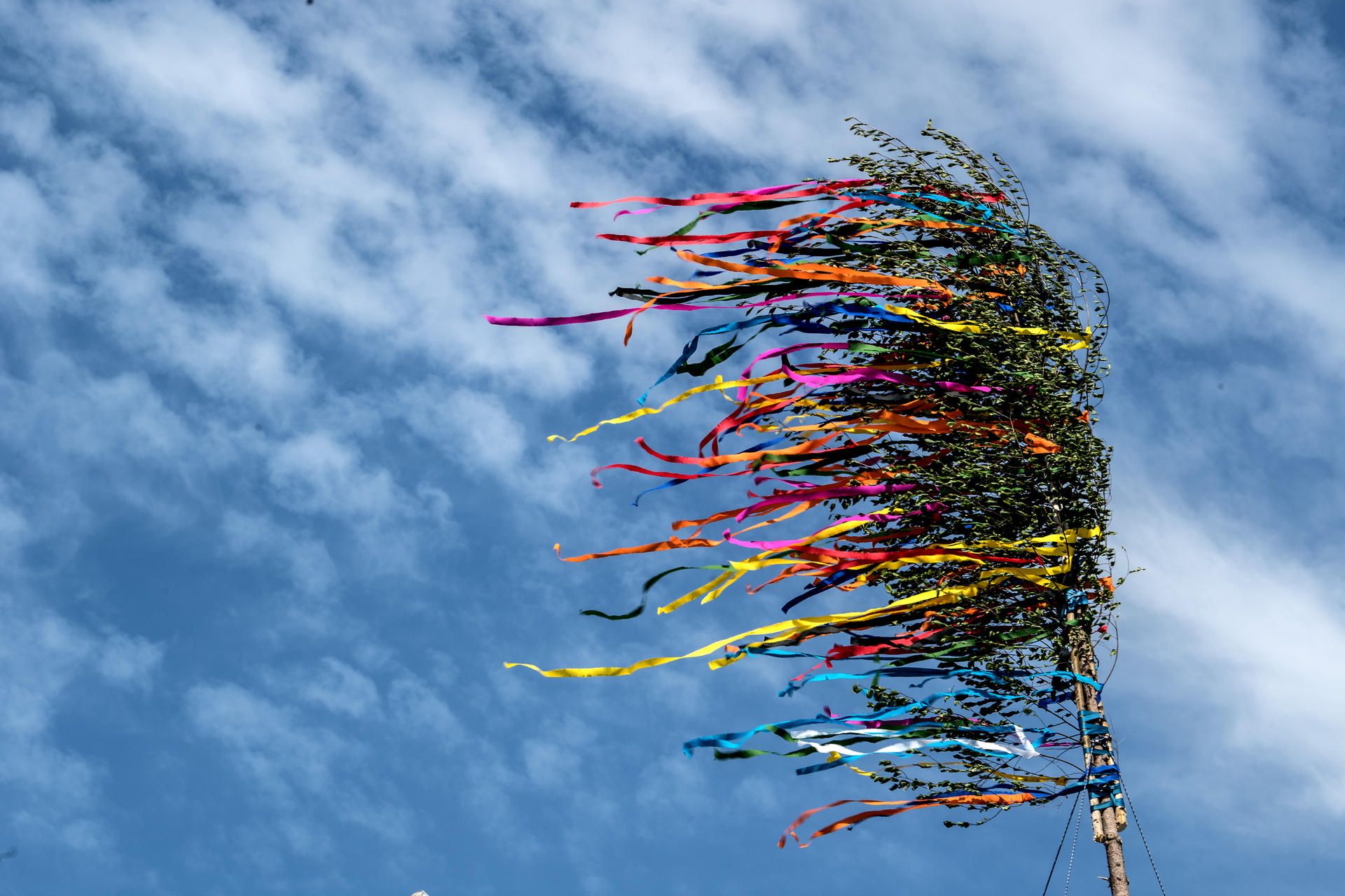 Maibaum symbol 2020