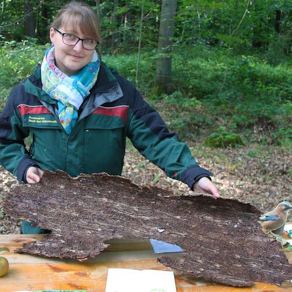 sli-20092020-bad-muenstereifel-waldaktionstag-1