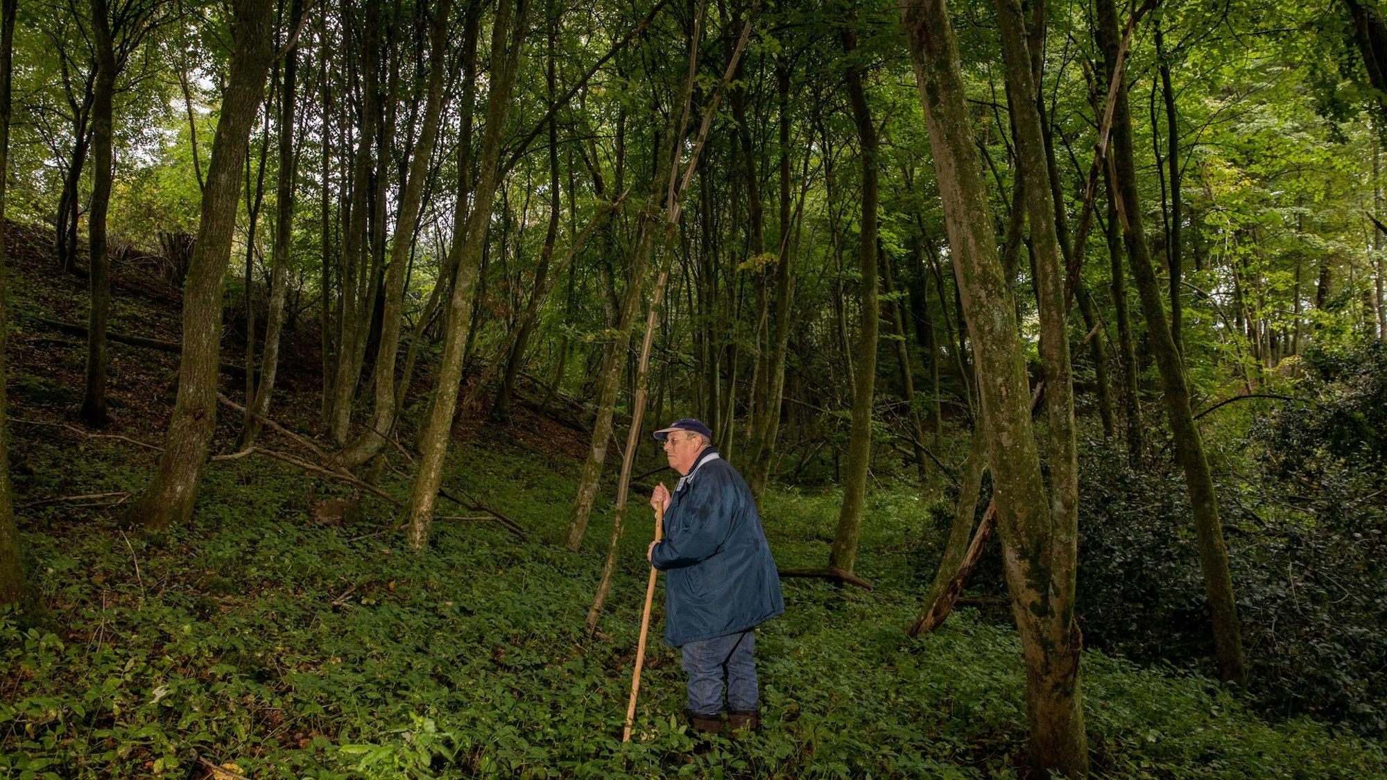 Ralf Dahlheuser mit seinem Stock im Wald.