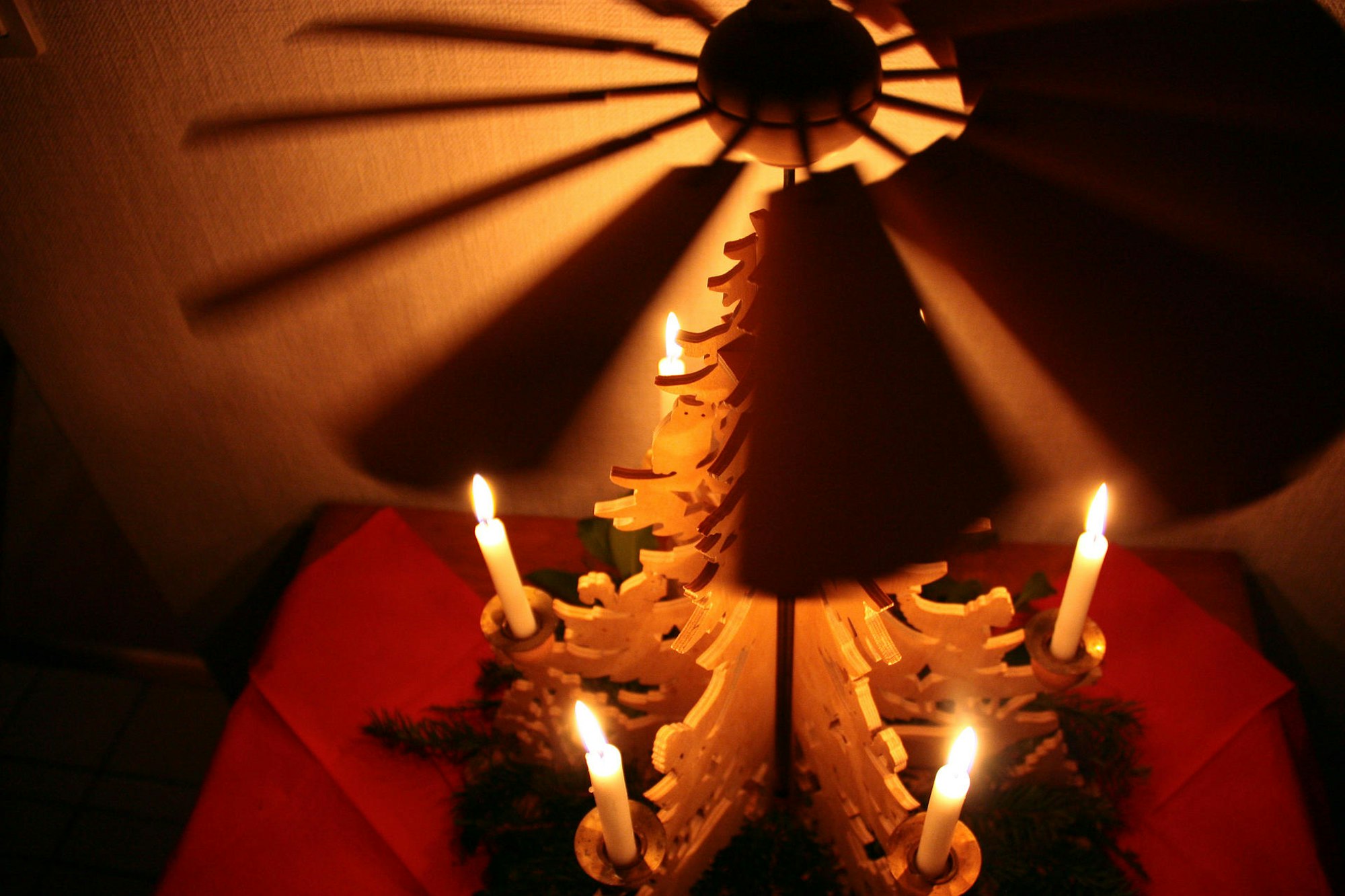 Warum_gibt_es_Baum_u_55111422