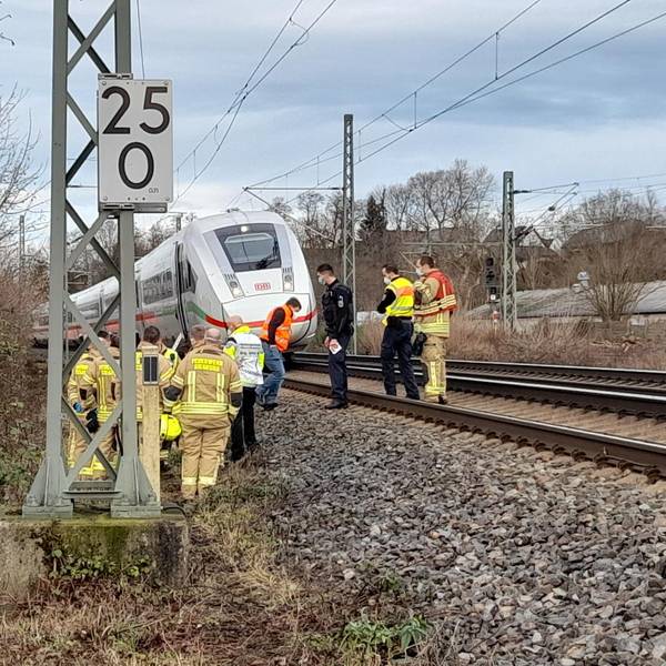 Neuer Inhalt