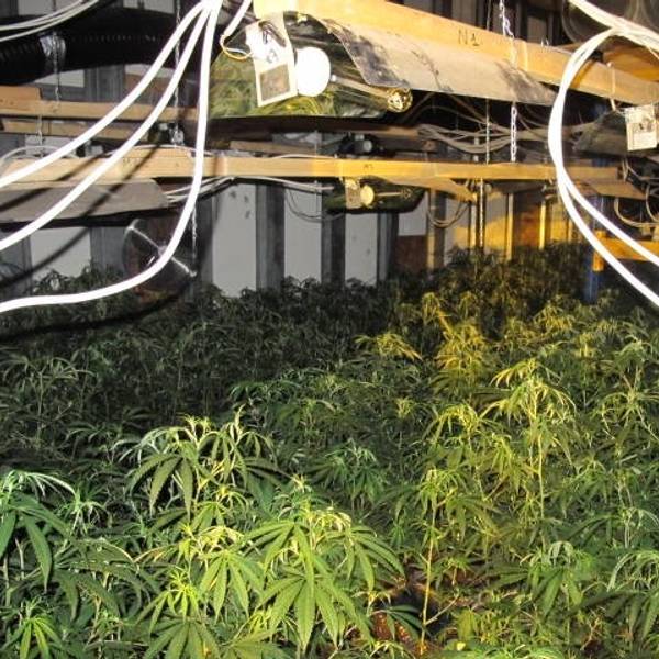 Kuchenheim Cannabis Waffenfund Polizei 1