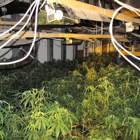 Kuchenheim Cannabis Waffenfund Polizei 1