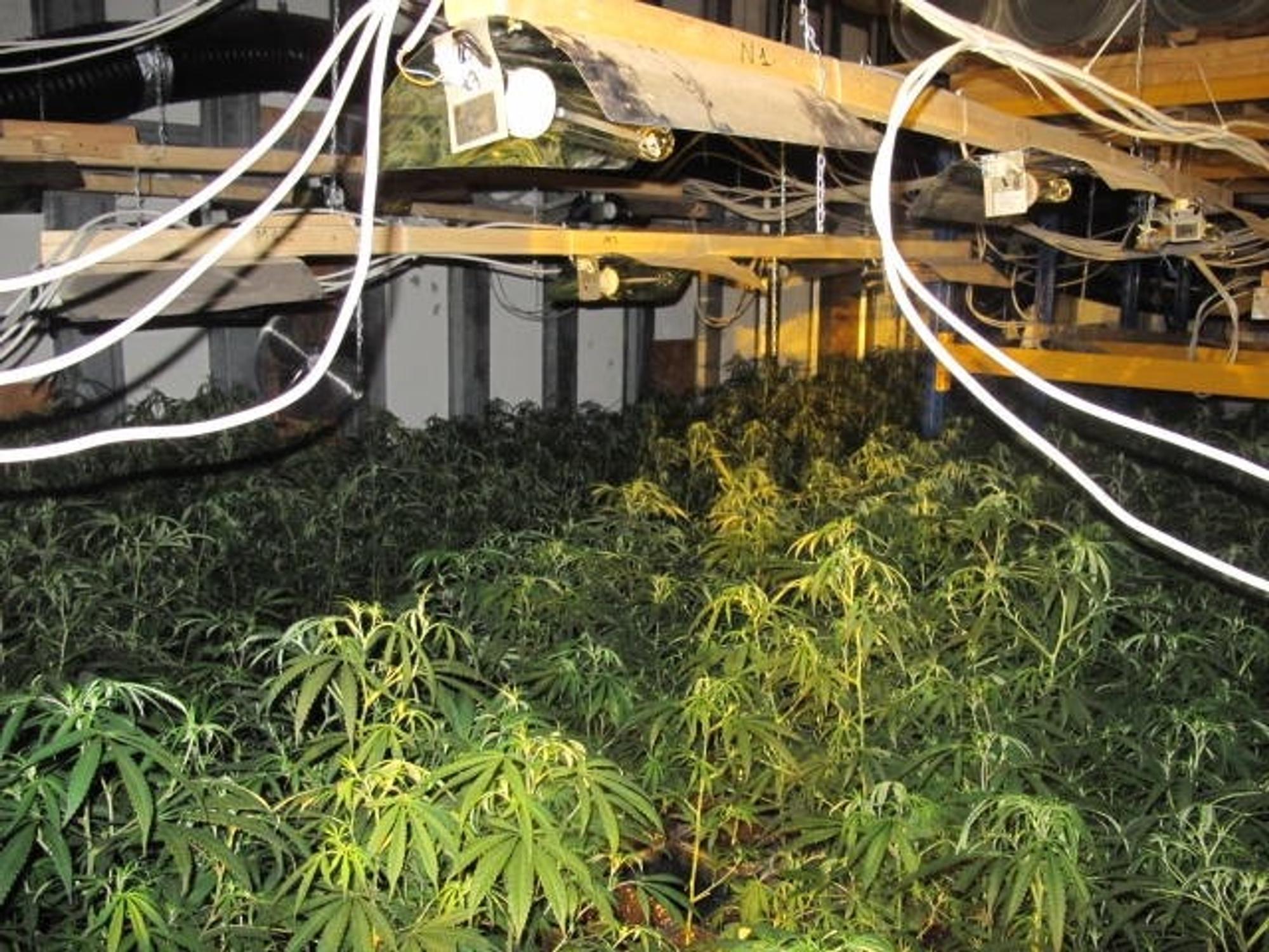 Kuchenheim Cannabis Waffenfund Polizei 1