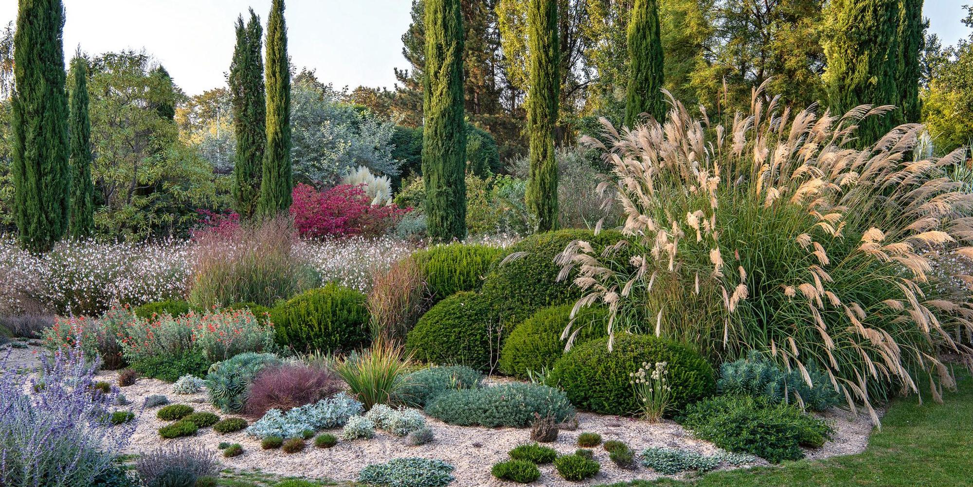 Gartenprofi Tipps