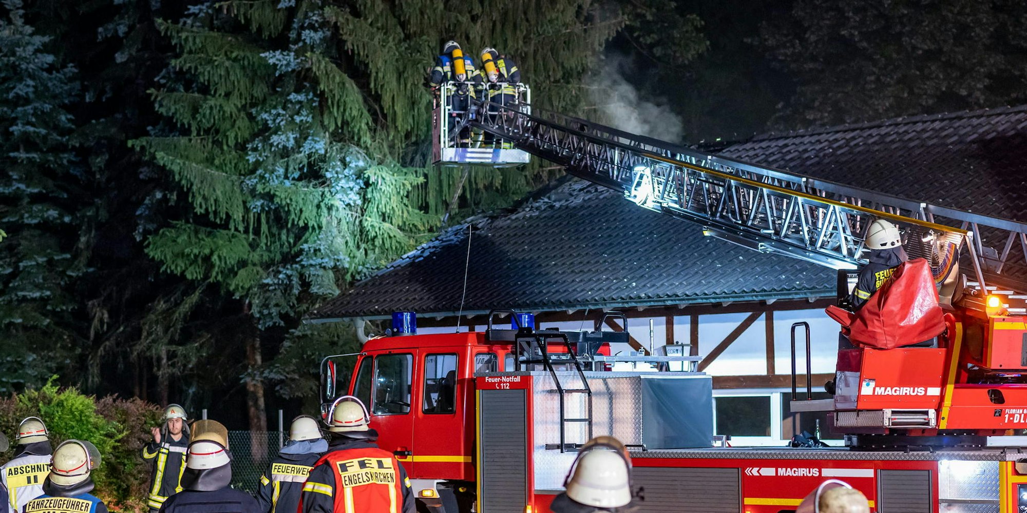 2020_06_18_Engelsk_Feuerteufel_3