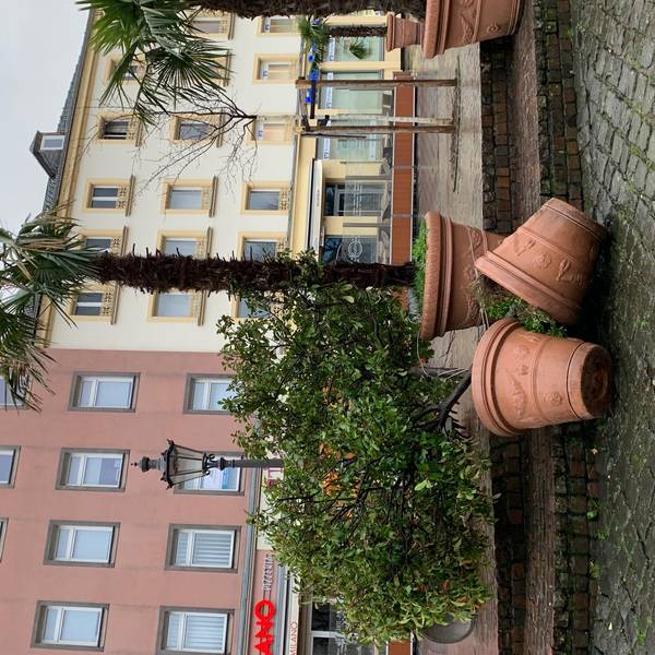 Sturm Siegburg 1