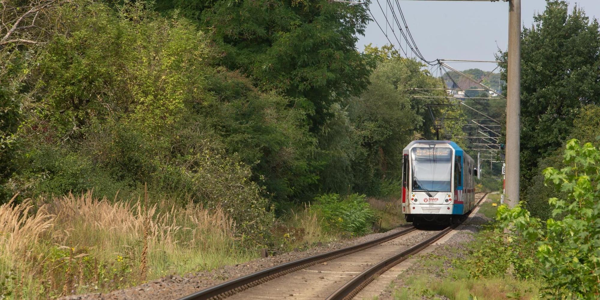 Linie 18 zwischen Dransdorf und Alfter