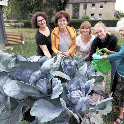 Leili-Blütenstadtgarten