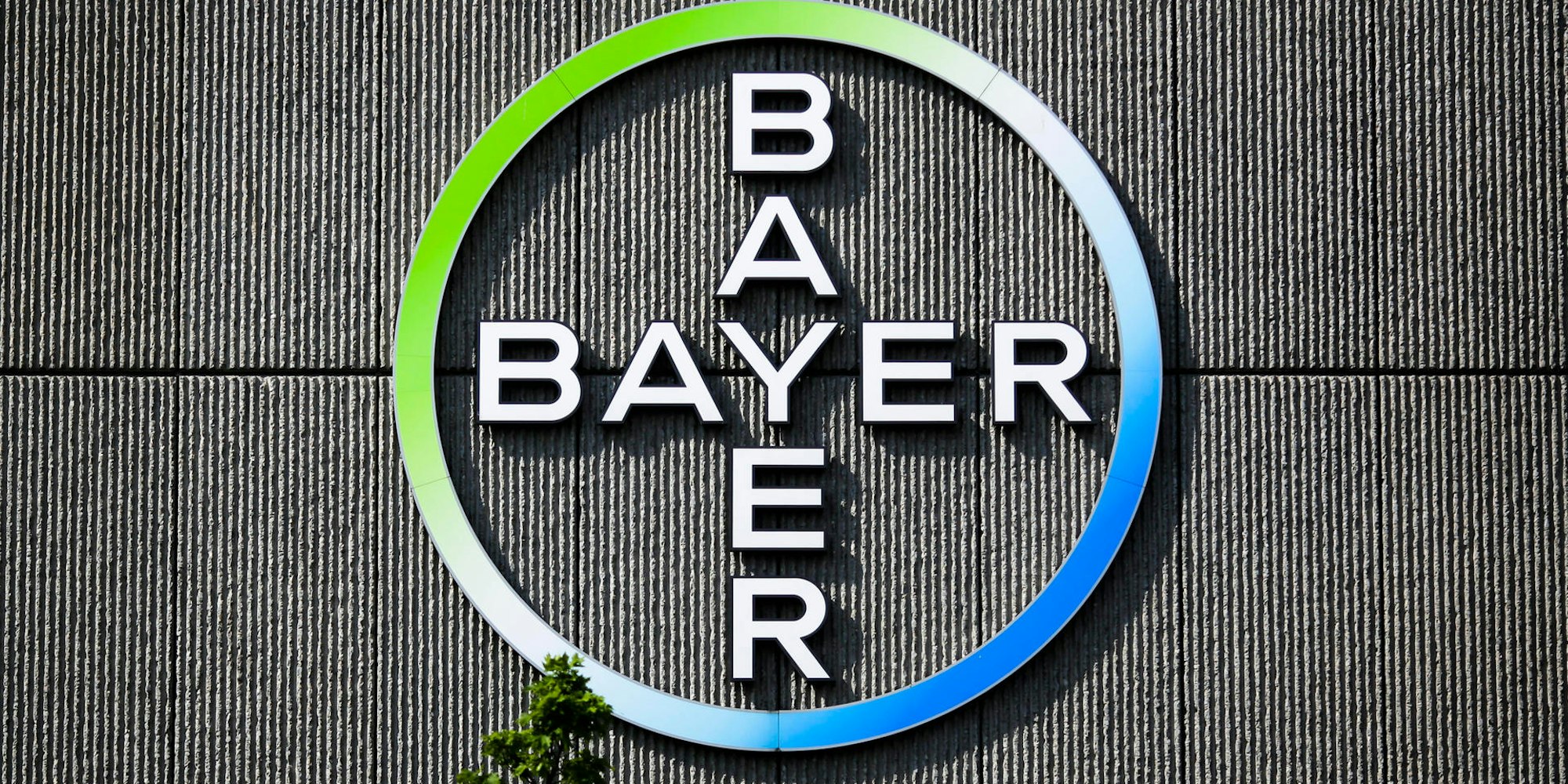 bayer-konzern