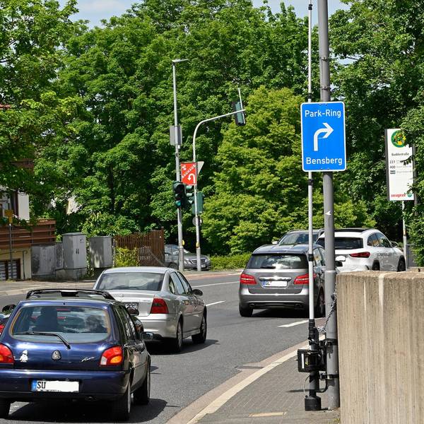 Buddestraße 120721