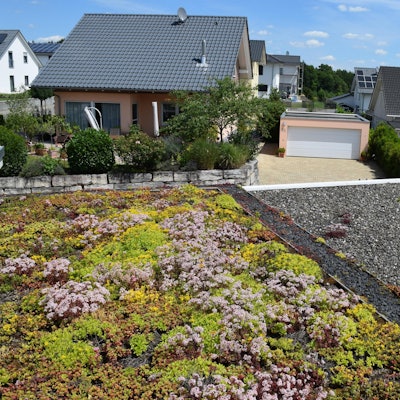 Dachbegrünung Symbol