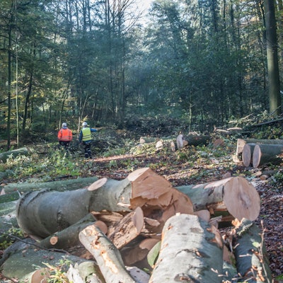 trasse_open-grid-gasleitung__ALF_2453