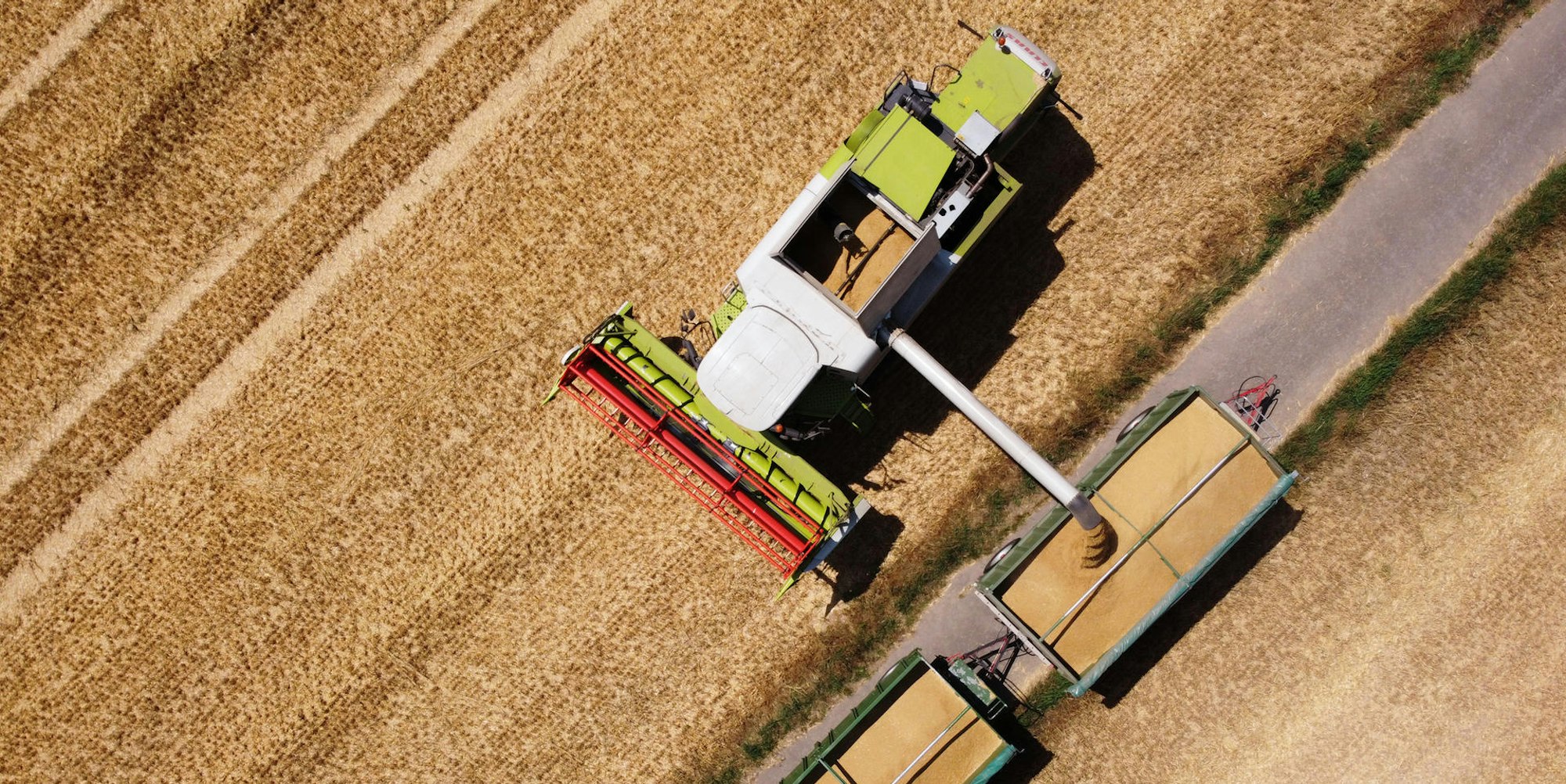 Getreideernte