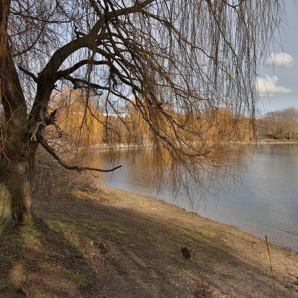 Fühlinger See_ Goyert