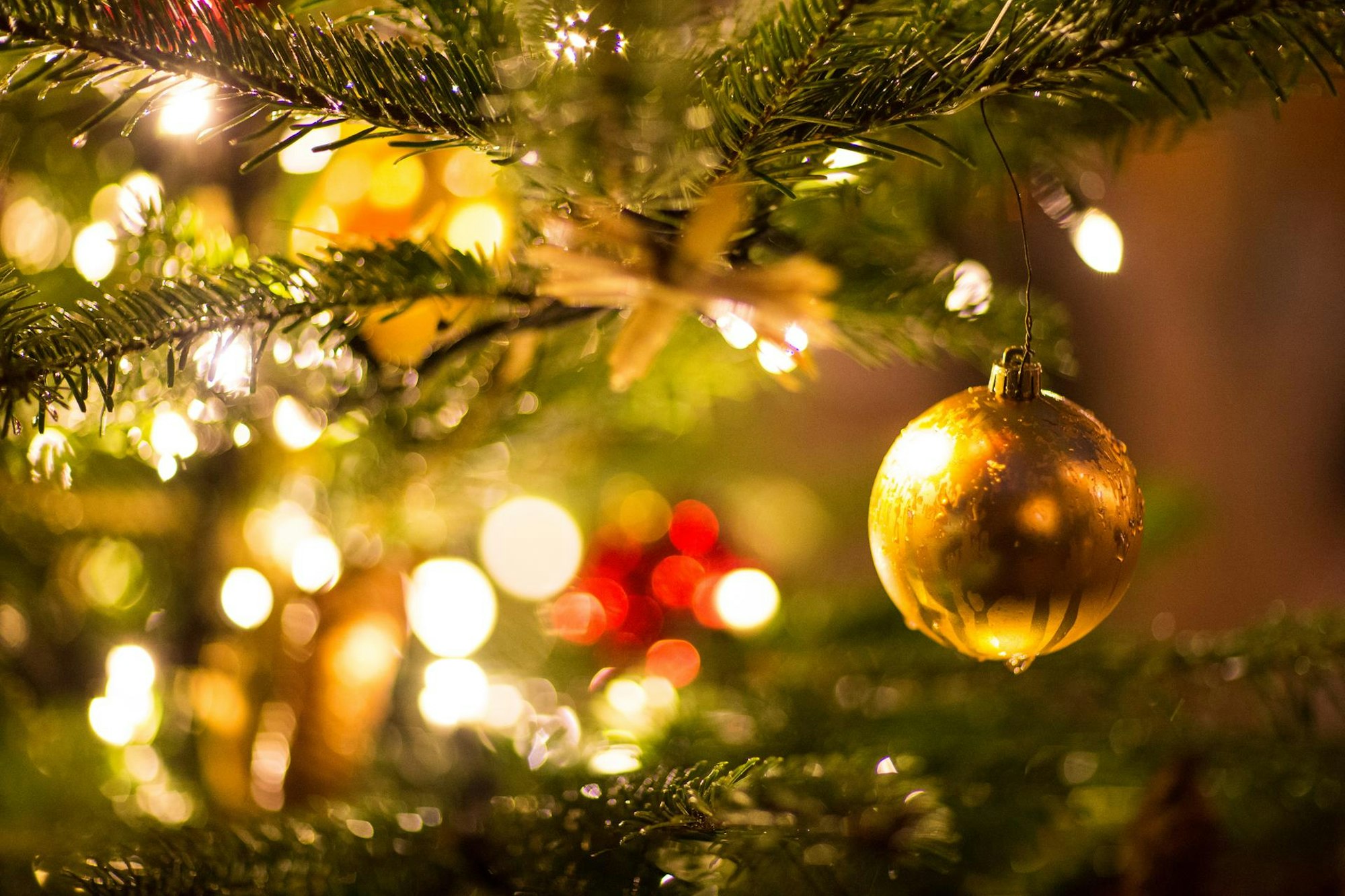 weihnachtsbaum