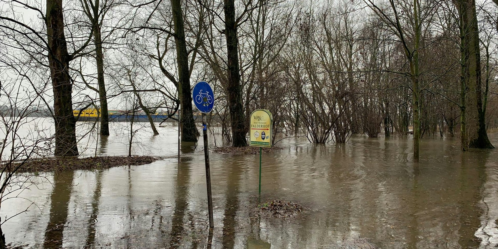 suerther_Rheinufer_ueberschwemmt