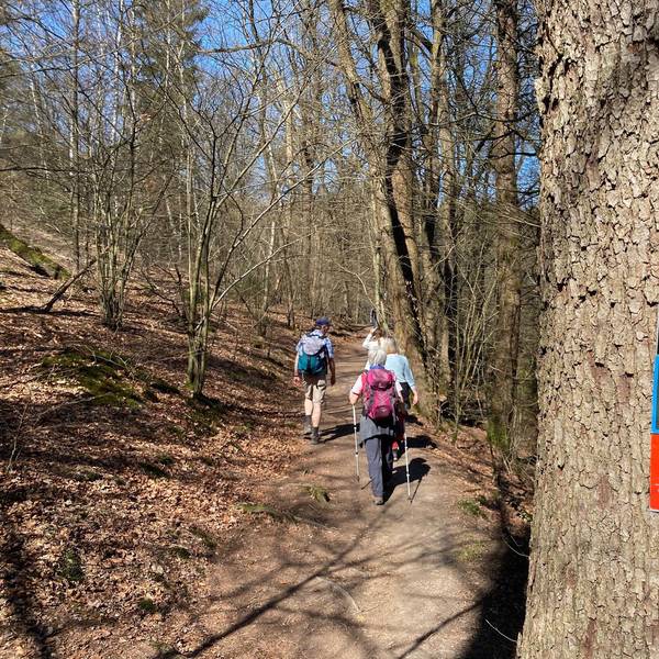 Wandern_Rhein-Sieg-Kreis