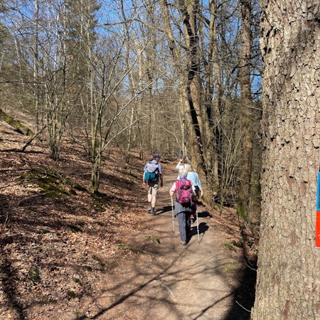 Wandern_Rhein-Sieg-Kreis