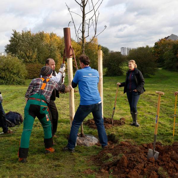 klimapark1_Bause