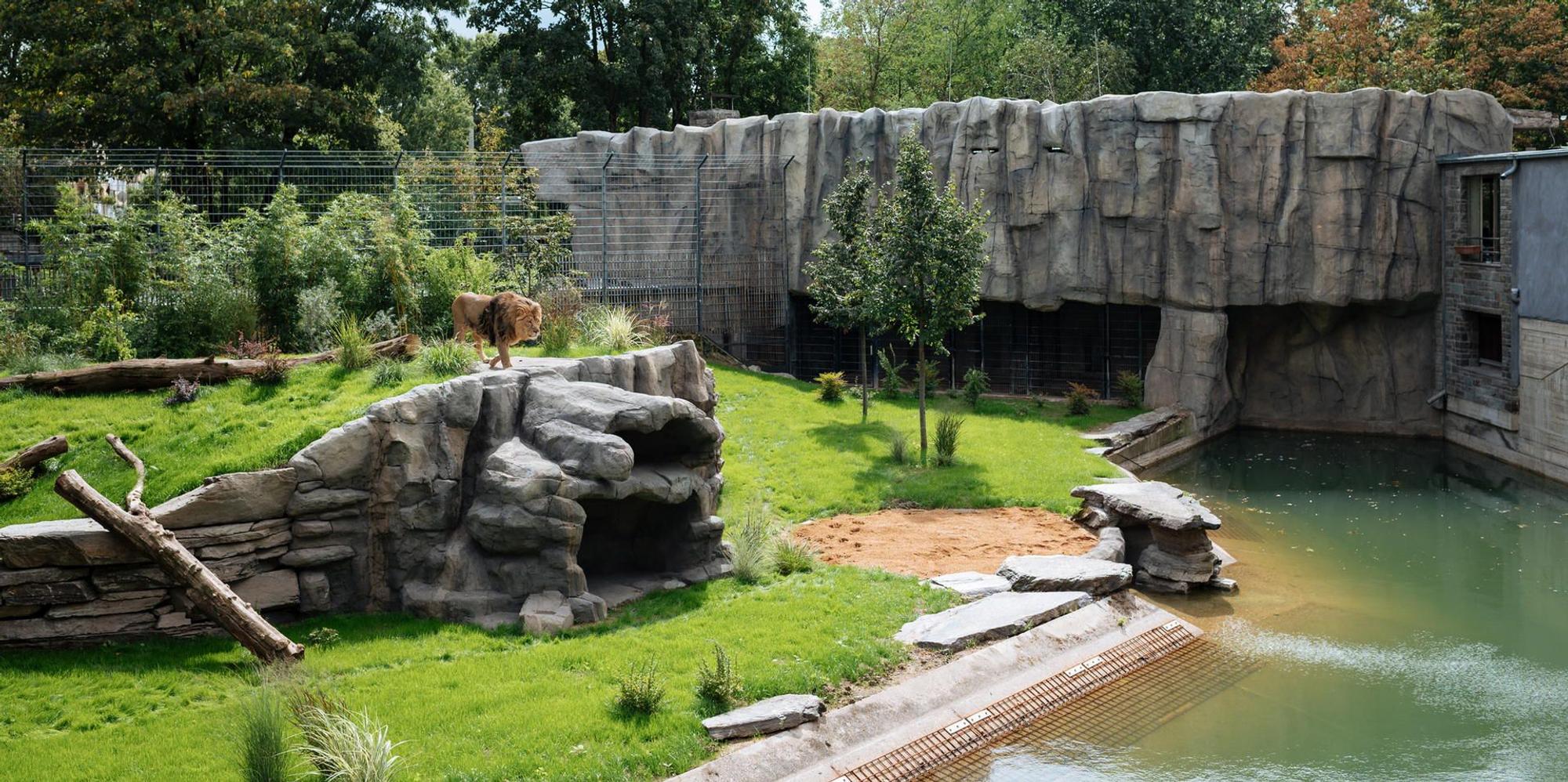 cob_20190815_Loewe_-_Zoo_16