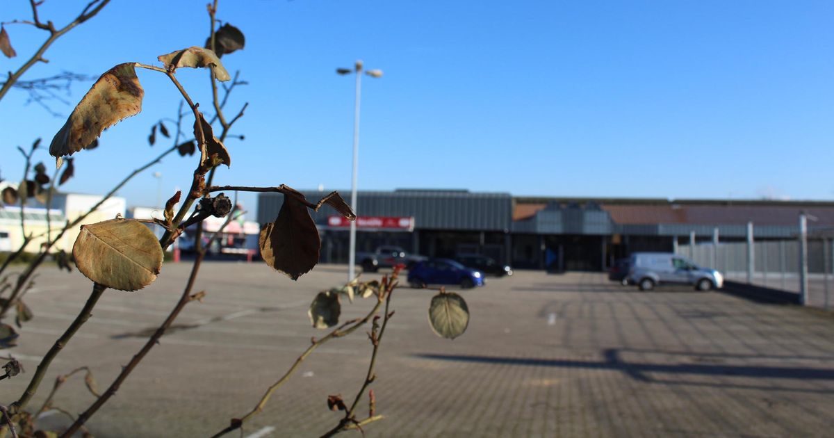 Baumarkt Bergheim Bergheim: Aldi-Markt, Baumarkt und neues Gewerbe geplant - Rundschau Online