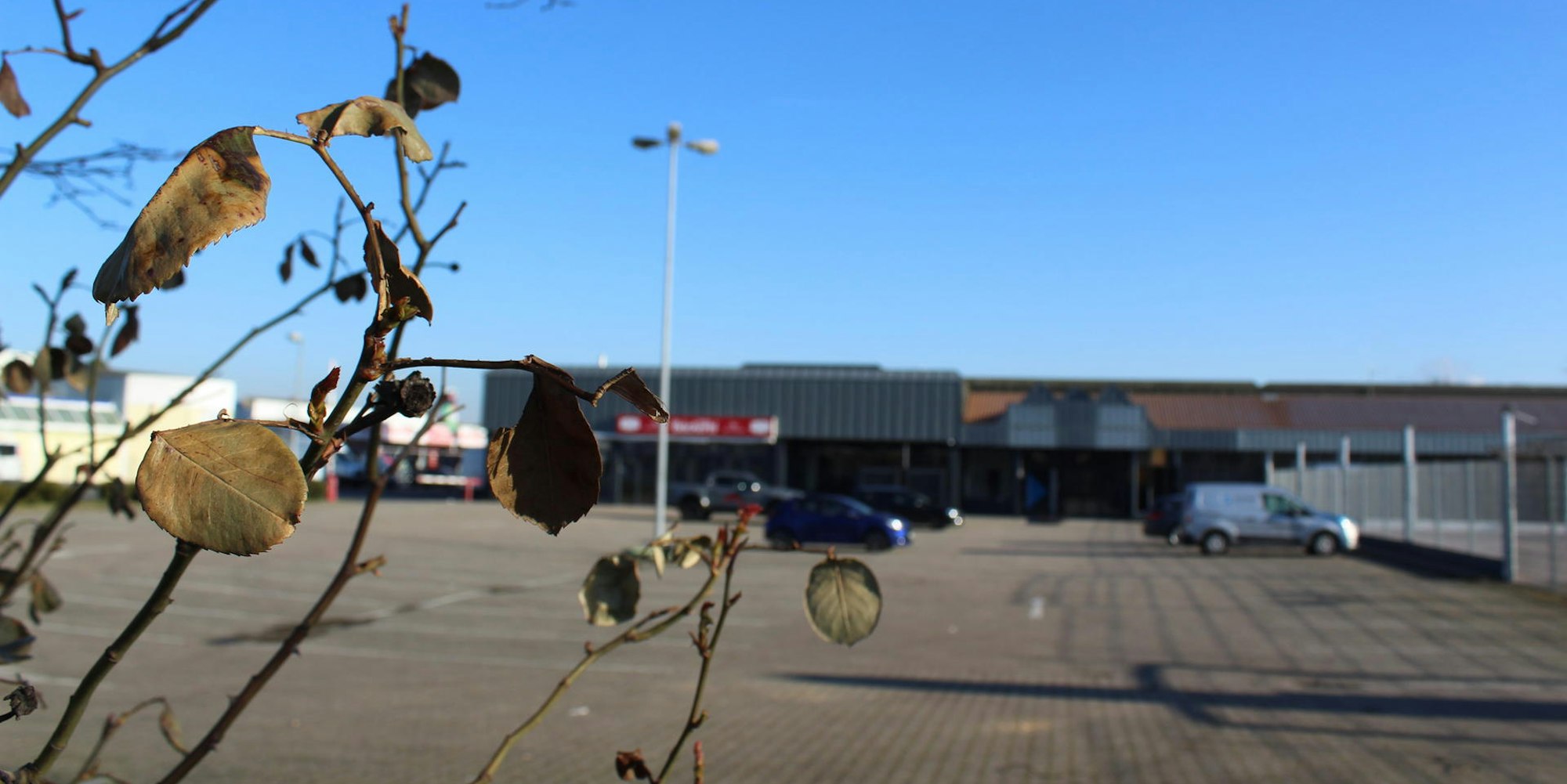 Bergheim_Mobau_Am_Sodagraben_(10)