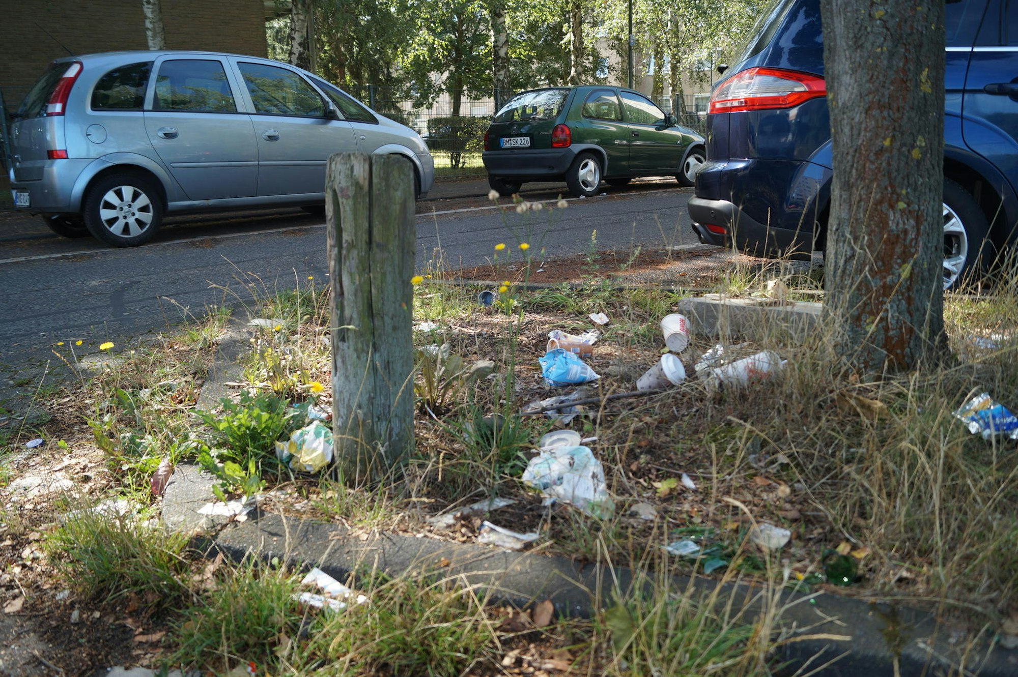 Masstrichter Straße Kerpen 2
