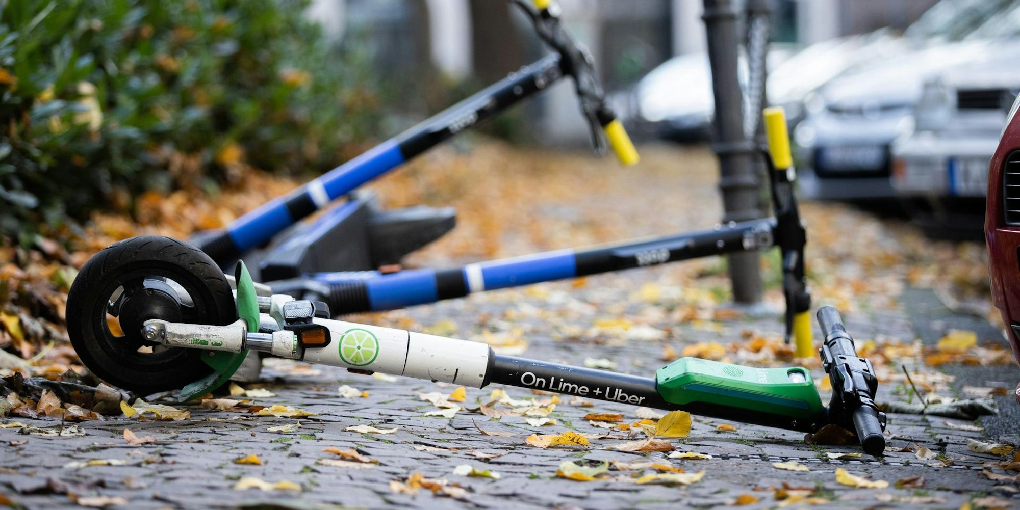 Neuer Inhalt (1)