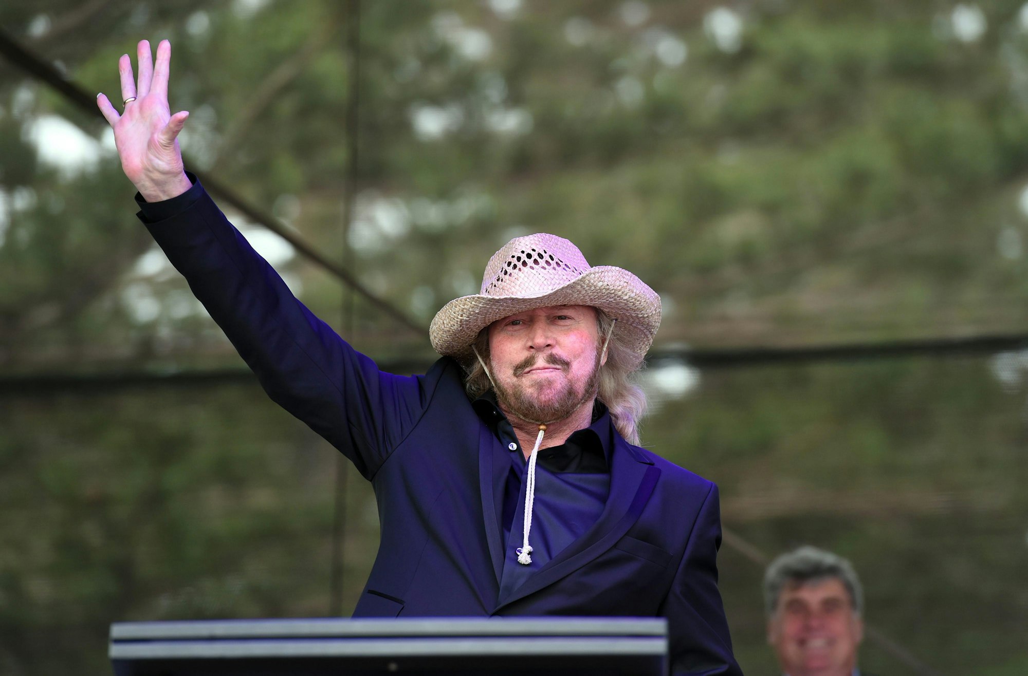 Barry Gibb