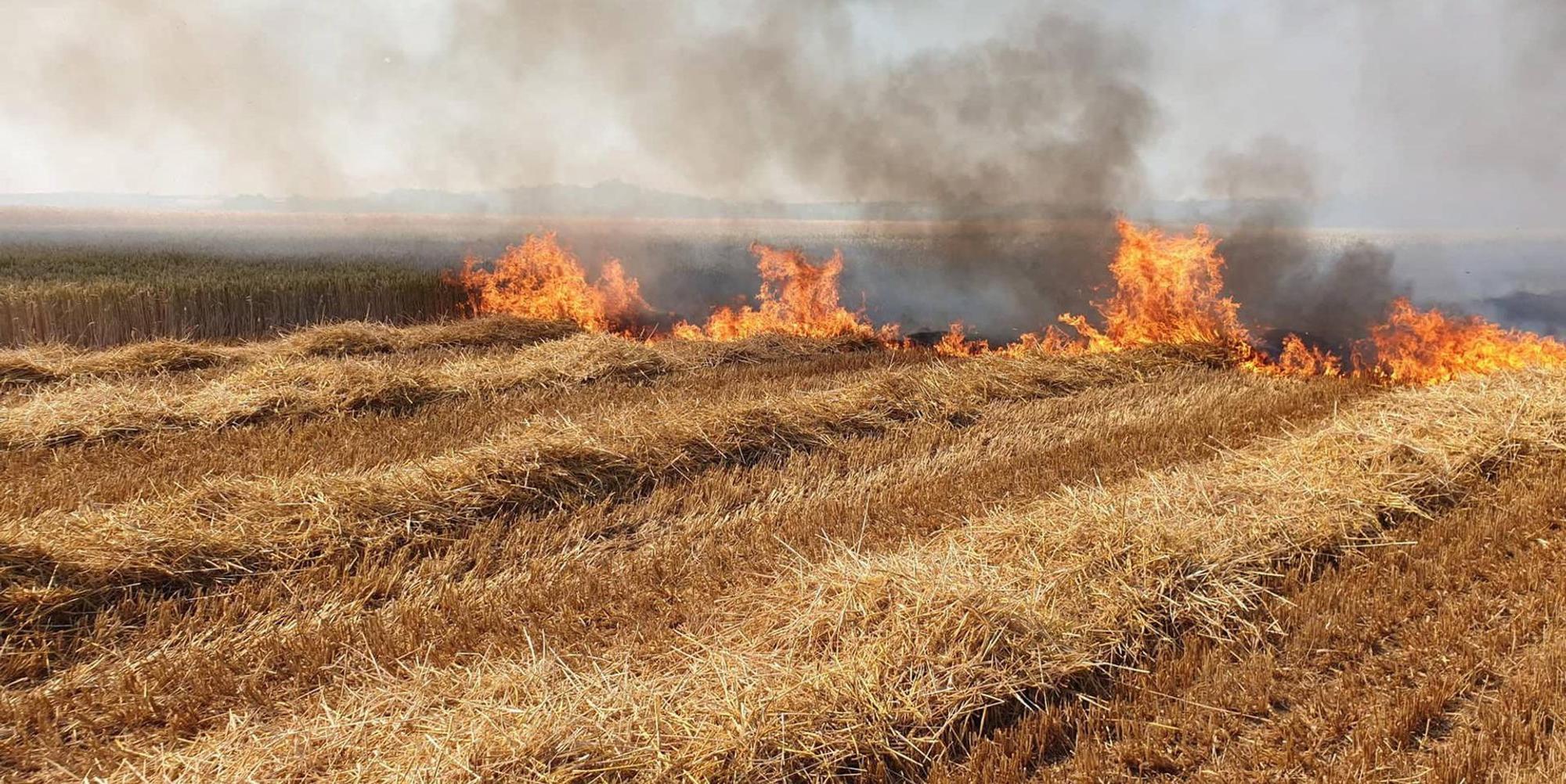 Zülpich Brand 1