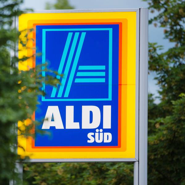 Aldischild